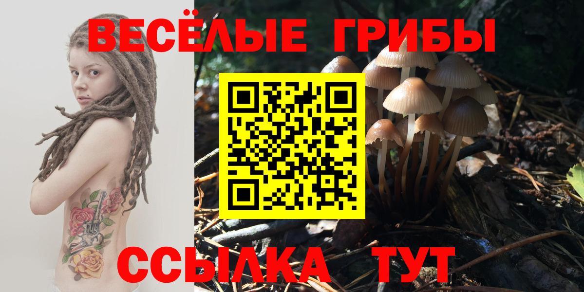 Верхняя Пышма  Галлюциногенные грибы мухоморы  Вход с VPN 